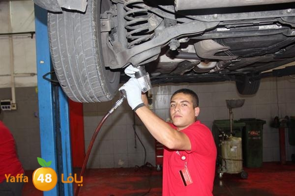 avis lud 0524 (14).JPG